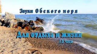 Звуки Обского моря. Для отдыха и жизни