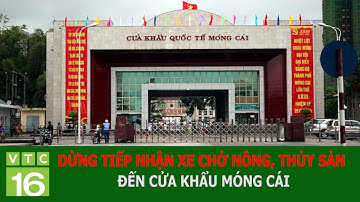Dừng tiếp nhận xe chở nông, thủy sản đến cửa khẩu Móng Cái | VTC16