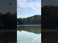 Heron flying away!