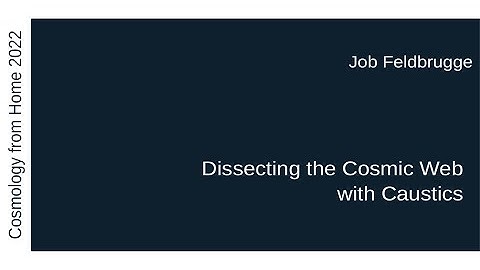 Job Feldbrugge | Dissecting the Cosmic Web with Caustics