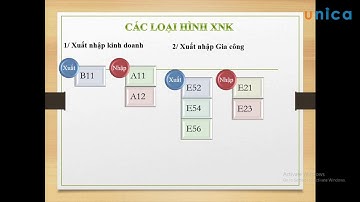 Tìm hiểu về mã loại hình xuất nhập khẩu – Phần 1