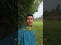 A beautiful field / morning walk, Day 8 / English Vlog #comprihensibleinput
