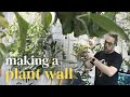 Redoing my plant wall  what hoya look best  getting an instant green wall
