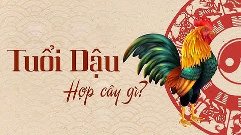 Cách chọn Cây cảnh hợp Phong thủy với người tuổi Dậu | Yeucay.vn