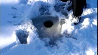 2014 ice fishing