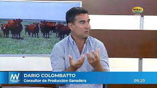 Darío Colombatto - Consultor de Producción Ganadera