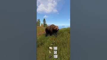 Rust Forest Animals Harvesting Guide