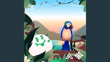 Hummingbird Sounds Part 148