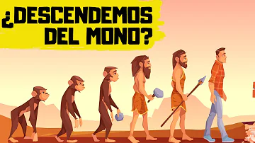 Che cos'è la selezione naturale di Darwin?