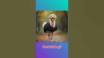 Literal vs Reality 💯 | Compound Words in English || Part 81 #learnenglish #english