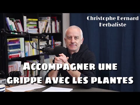 Grippe, coronavirus, SRAS, etc. : les plantes peuvent-elles aider ?