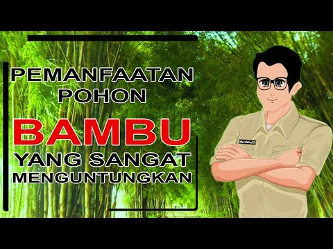 Video: Efek Menguntungkan Dari Tanaman. Bagian 7