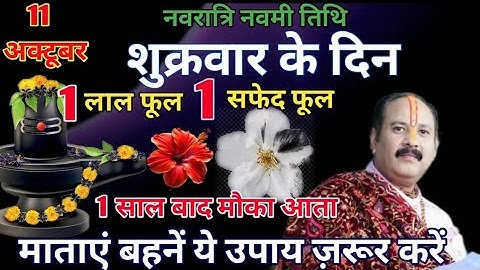 11 अक्तुबर शुक्रवार नवरात्रि नवमी तिथि को 1 लाल 1 सफेद फूल का उपाय जरूर करे #navratri #hindufestival