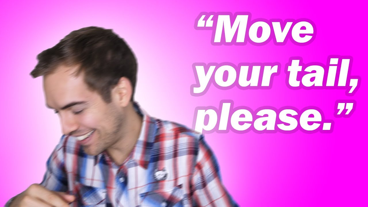 parody or satire These 4 words will drive her wild (YIAY #431)