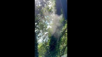 GMAN Mosquito Misting system fully automated to control Mosquitoes and other biting insects 7-27-25