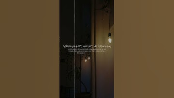 #قران_كريم #القارئ_احمد_النفيس #سورة_النحل