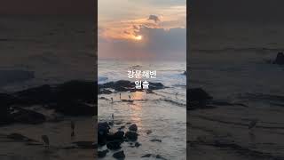 소원을 빌어봐 #daze #dazedkorea #여행