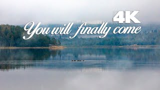 You will finally come 4K| A foggy morning relaxing| in the middle of night in Sweden| Light night