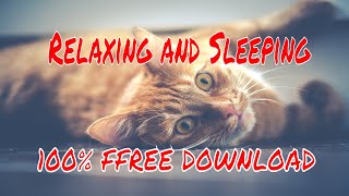 Soft and Relaxing Music for Sound Sleeping Vlog [Free Copyright safe download - CRFM] screenshot 2