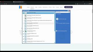 Advanced Uninstaller 13 Pro Revi̇ew