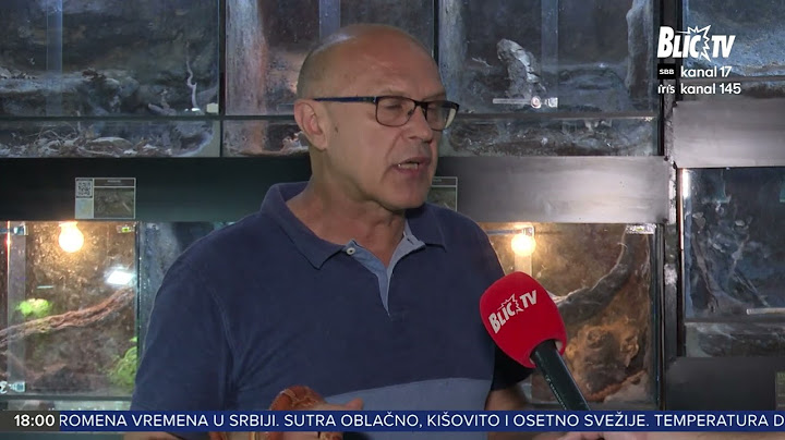 UŽAS U SRBIJI! Zmije izlaze iz šahti i ulaze u kuće! Evo gde ih ima najviše? | BLIC TV