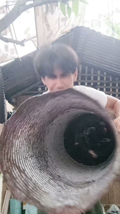 HAHAHA #lantaka #dance #boga #bamboo