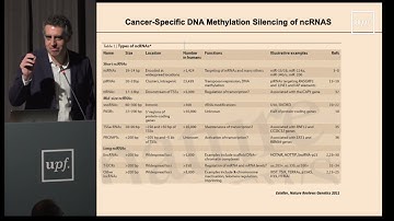 Multiomics Integration to Study Disease I 7th VPH Summer School 2023