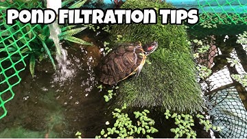 Pond Filter DIY | Pond Filter ideas | Balcony Pond Filtration | Balcony Turtle Pond | Koi Pond