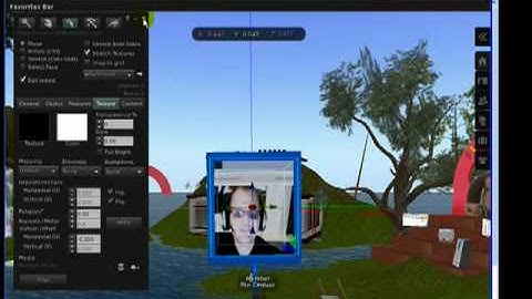 Stream your Web Cam into Second Life