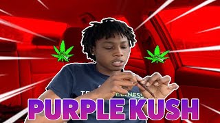 Hotbox sesh TALK & CHILL🍃 (PT2) #hotbox23