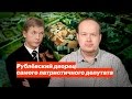 Рублевский дворец самого патриотичного депутата