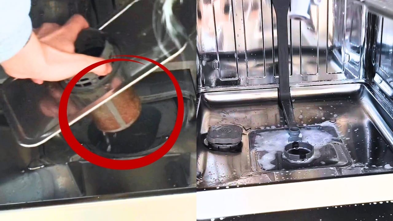 Tu lavavajillas puede estar más sucio de lo que crees | Cómo limpiar el lavavajillas paso a paso