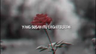 STATUS WA STATUS BAHAGIA - 30 DETIK , kata kata