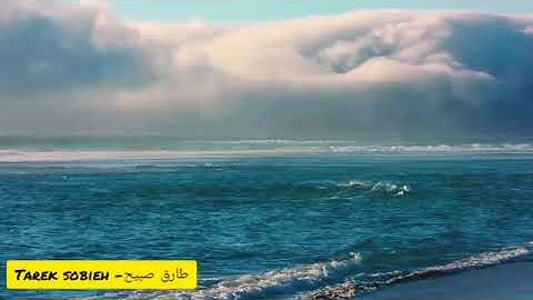 ما تيسر من خواتيم سورة الإسراء ❤📿 | القارئ طارق صبيح | Surat Al Israa | Tarek Sobieh 🕋❤😍