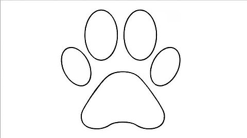 how to draw a dog paw