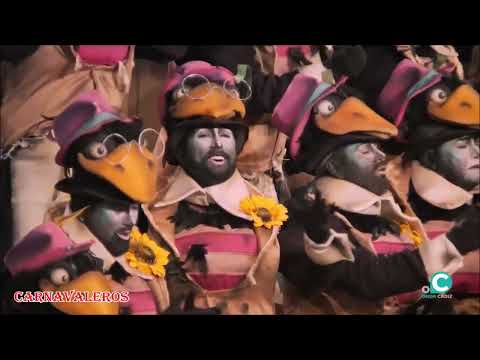 Coro Los negros. Preliminares. Tango Barrio de los Viñeros y del Gaditano.