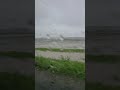 #lluvia Soto la Marina