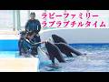 シャチファミリーとトレーナーさんの信頼と絆にホッコリ♥ 鴨川シーワールド シャチショー KamogawaSeaWorld orca killerwhale