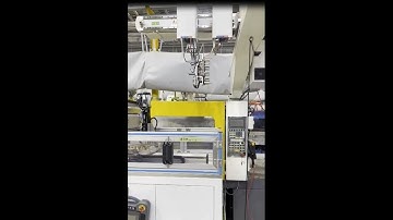 Alfarobot ，8 nuts insert case for Japanese customer #injection molding machine.