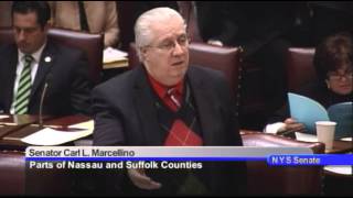 New York State Senate Session - 03/10/14