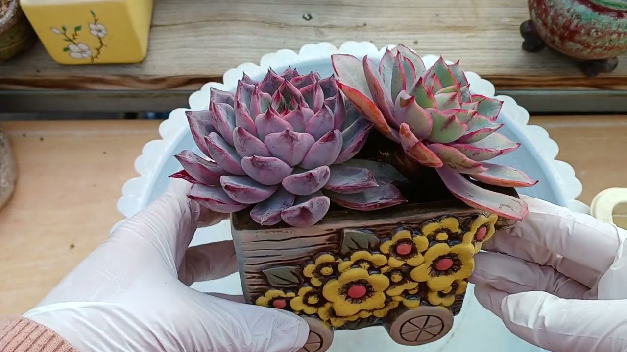 혼자서 중얼중얼 죄송합니다 😂 