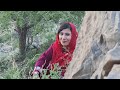 New hazaragi song      by  fatima khan 