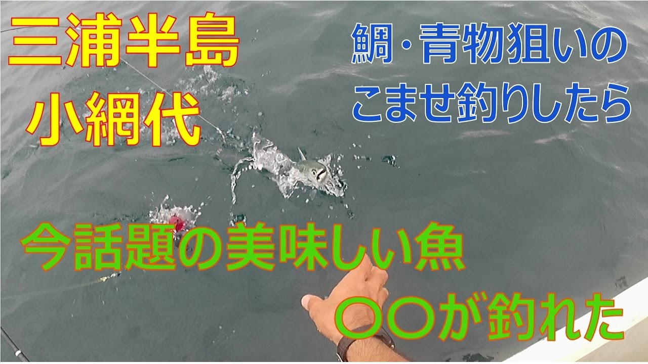 33 小網代ボート釣り 北風で多くの場所でボートが出せないとき 出船できた場所でボート釣りした結果 Youtube