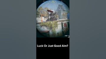 Was This Luck Or Just Good Aim? MW3
