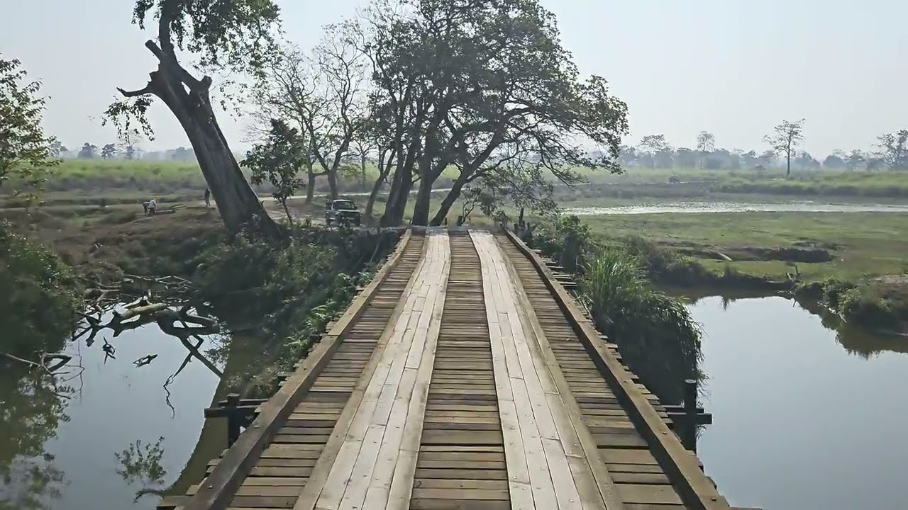 Kaziranga National Park in Assam| truly the glory of Assam 🏞️ #Kaziranga #NationalPark #Assam #Glory