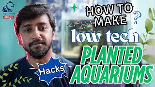 Low Tech Planted Aquarium Tips &amp; Hacks | Easy Setup &amp; Care Guide | Aqua Sagar