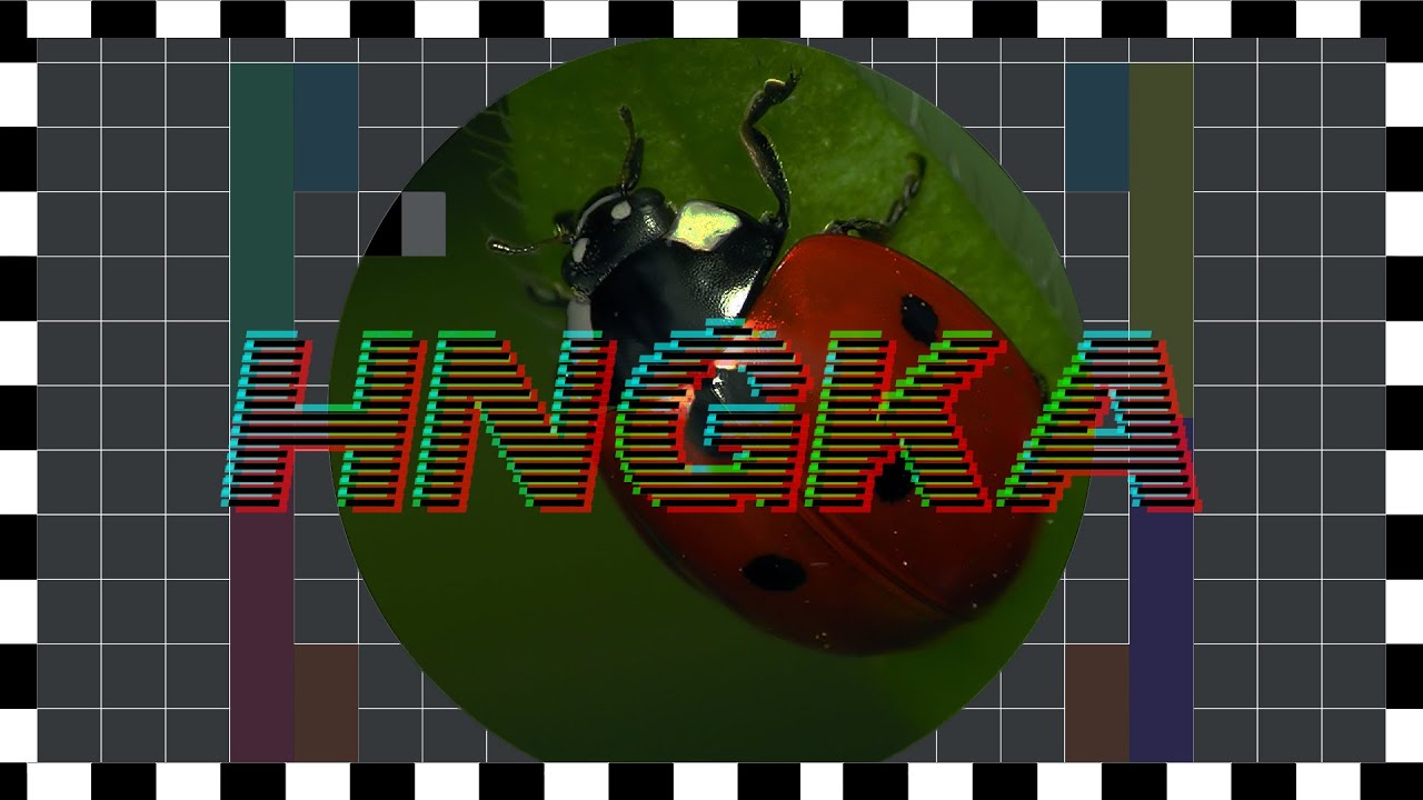 HNGKA #62 - İLK YOUTUBE ÖZEL HNGKA YAYININDA CİMA KONUŞULDU TARİH YAZILDI