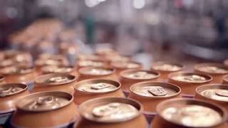 Valicor Product and Brand Destruction -  Video Overview