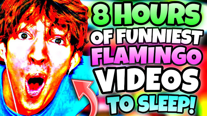 *8 HOURS* OF “FUNNIEST” FLAMINGO VIDEOS TO FALL ASLEEP!