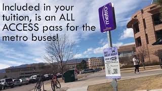 Ride the Mountain Metro!